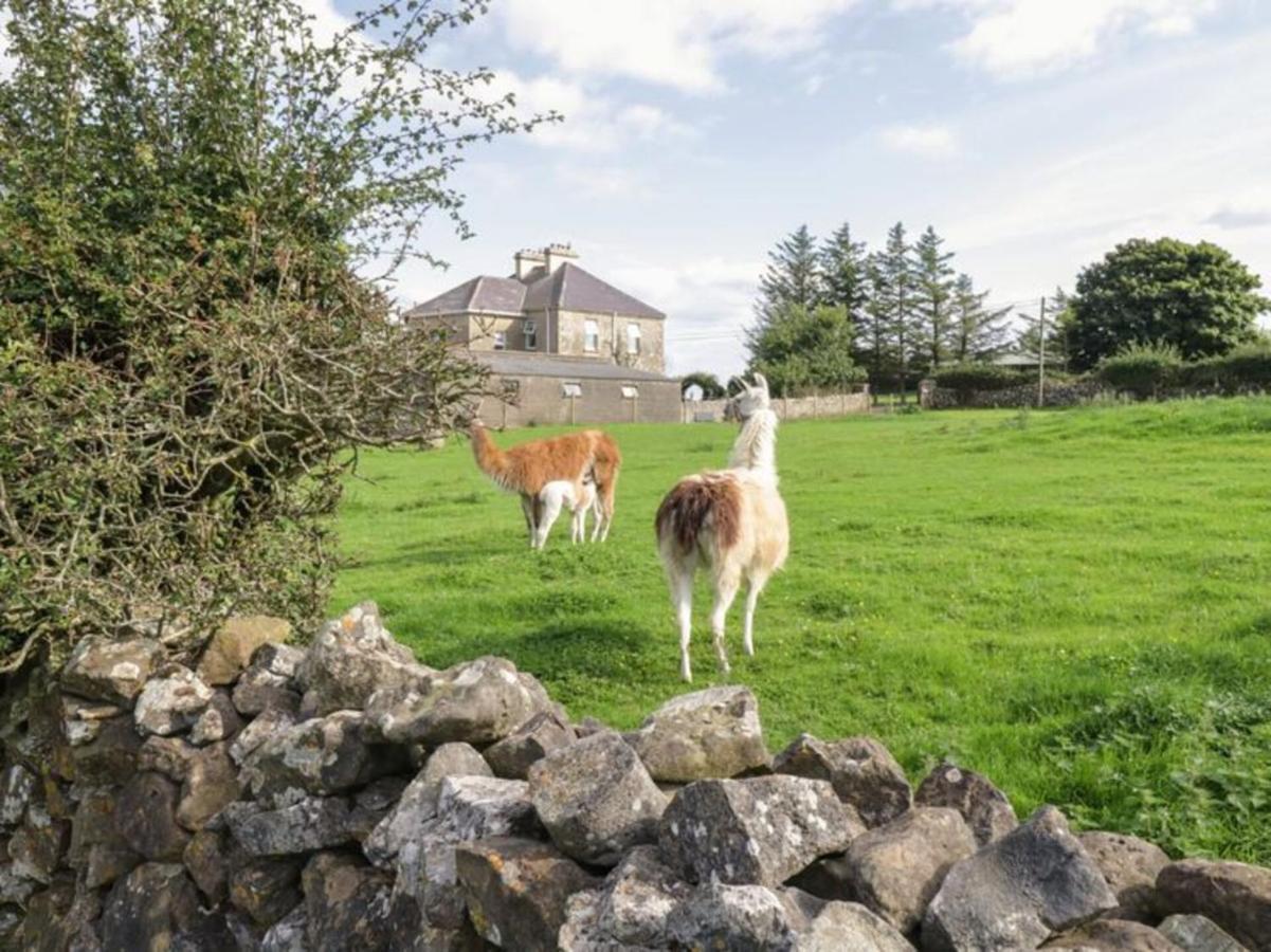The Beautiful Lazy Llama Shepherd Hut Farm Stay Ballyshannon Exterior foto