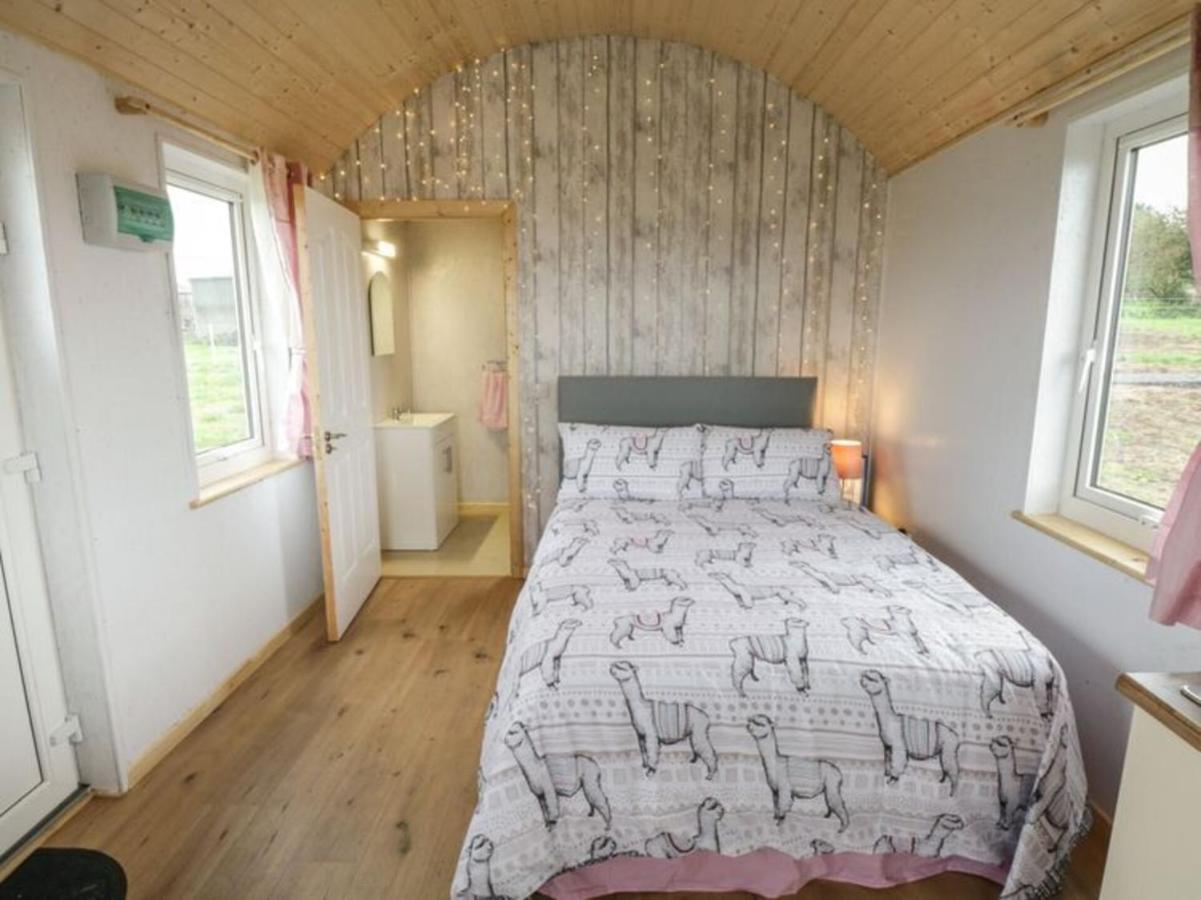The Beautiful Lazy Llama Shepherd Hut Farm Stay Ballyshannon Exterior foto