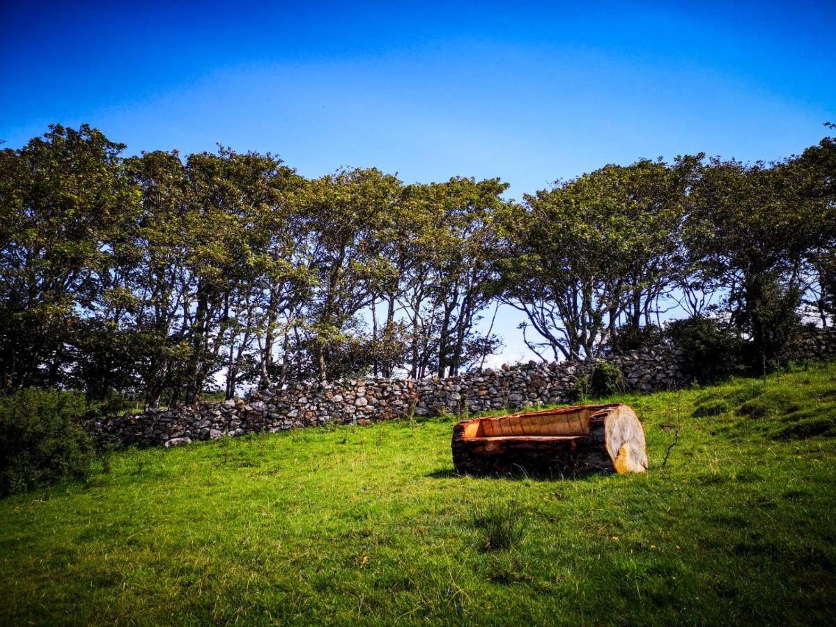 The Beautiful Lazy Llama Shepherd Hut Farm Stay Ballyshannon Exterior foto